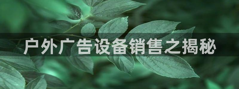 杏宇平台怎么样赚钱