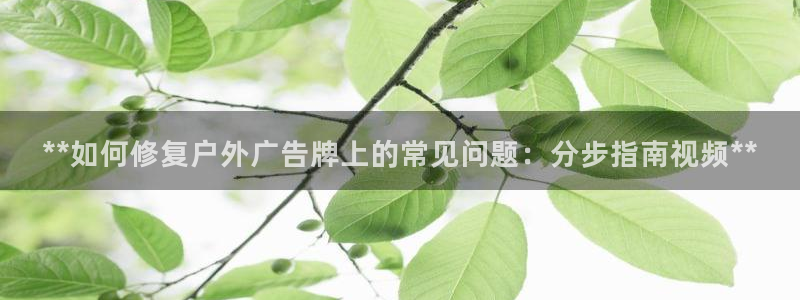 杏宇平台登录步骤是什么