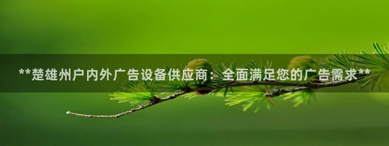 杏宇平台好吗