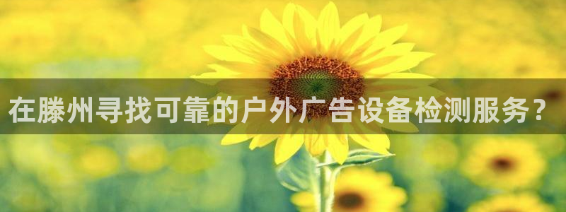 杏宇平台注册地址在哪里