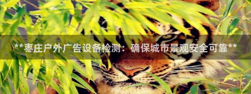 杏宇平台好吗：**枣庄户外广告设备检测：确保城市景观安全可靠**