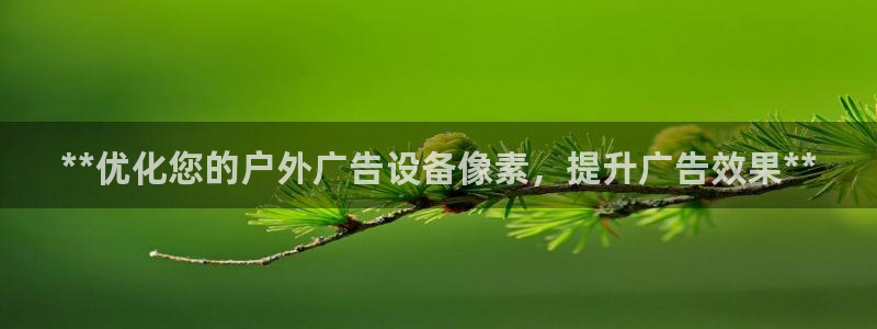 杏宇平台是什么：**优化您的户外广告设备像素，提升广告效果**