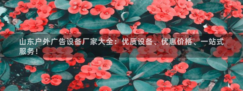 杏宇平台官网注册：山东户外广告设备厂家大全：优质设备、优惠价格、一站式
服务！