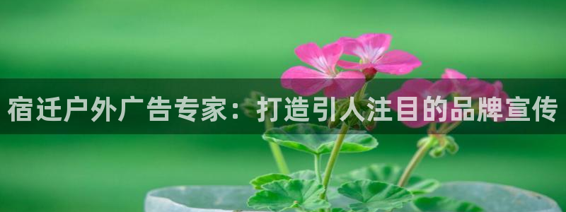 杏宇平台代理多少钱一个