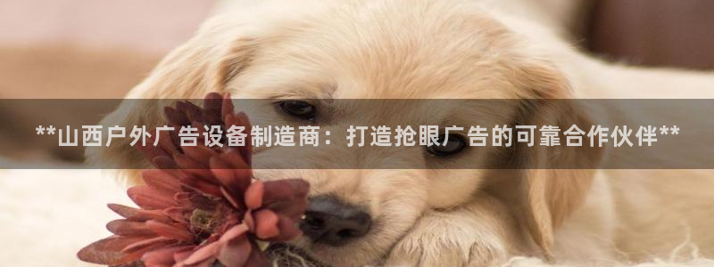 杏宇平台总代理电话：**山西户外广告设备制造商：打造抢眼广告的可靠合作伙伴**