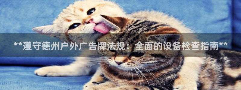 杏宇平台代理多少钱一个月：**遵守德州户外广告牌法规：全面的设备检查指南**