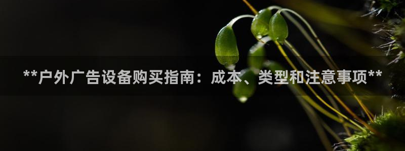 杏宇平台登录步骤是什么：**户外广告设备购买指南：成本、类型和注意事项**