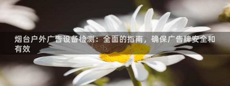 杏宇平台代理怎么样：烟台户外广告设备检测：全面的指南，确保广告牌安全和
有效