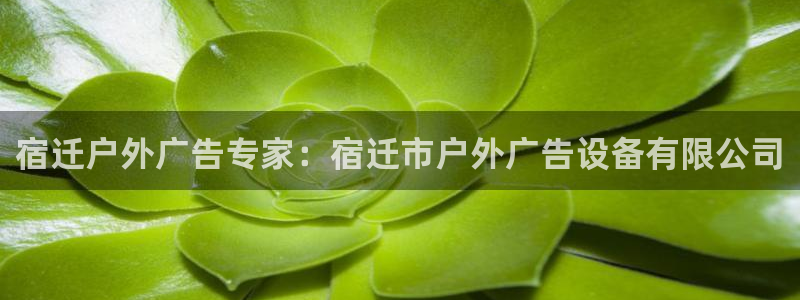 杏宇平台怎么样：宿迁户外广告专家：宿迁市户外广告设备有限公司