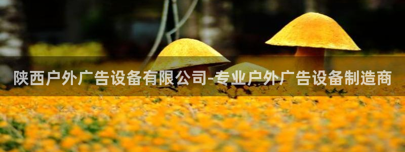 杏宇平台招商