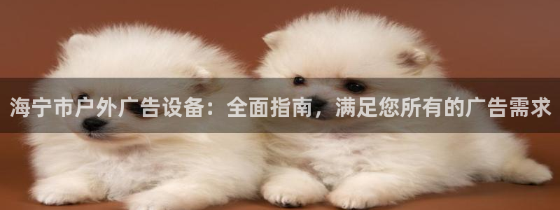 杏宇平台代理怎么赚钱：海宁市户外广告设备：全面指南，满足您所有的广告需求