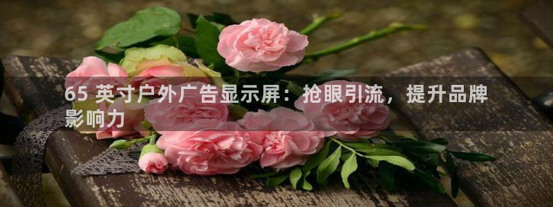 杏宇官方平台官网：65 英寸户外广告显示屏：抢眼引流，提升品牌
影响力