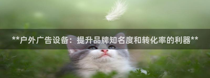 杏宇平台招商怎么样：**户外广告设备：提升品牌知名度和转化率的利器**