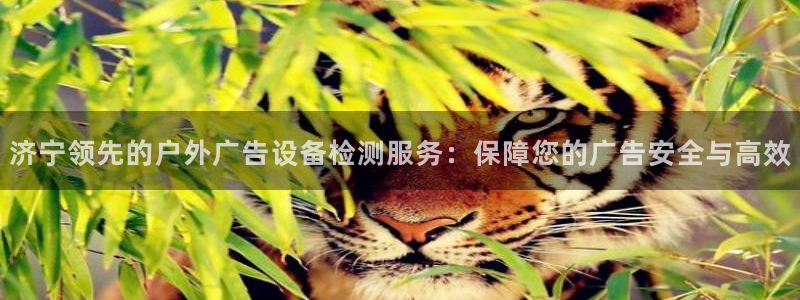 杏宇平台代理怎么样赚钱：济宁领先的户外广告设备检测服务：保障您的广告安全与高效
