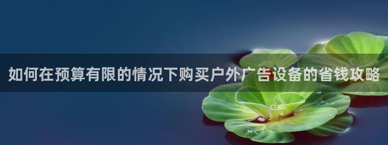 杏宇平台代理多少钱一个：如何在预算有限的情况下购买户外广告设备的省钱攻略