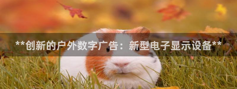 杏宇平台好吗：**创新的户外数字广告：新型电子显示设备**