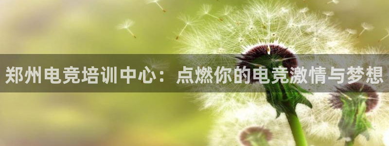 雷火电竞直播：郑州电竞培训中心：点燃你的电竞激情与梦想