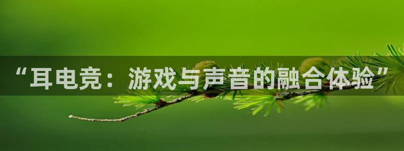 tf雷火电竞网页版：“耳电竞：游戏与声音的融合体验”