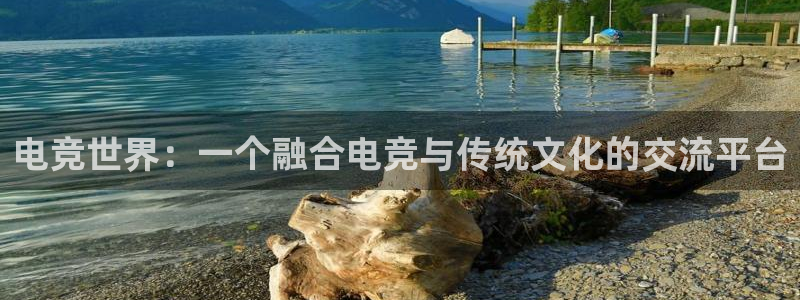 雷火电竞在线：电竞世界：一个融合电竞与传统文化的交流平台