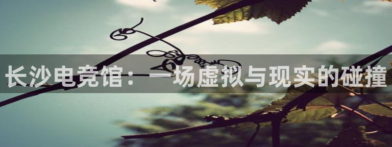 雷火电竞竞技平台官网：长沙电竞馆：一场虚拟与现实的碰撞