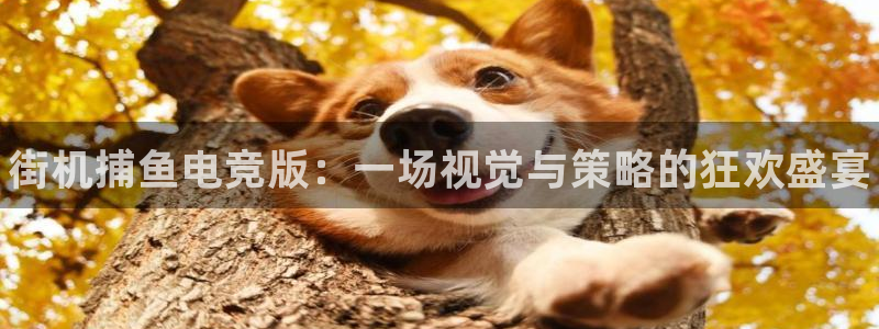 海南雷火电竞：街机捕鱼电竞版：一场视觉与策略的狂欢盛宴