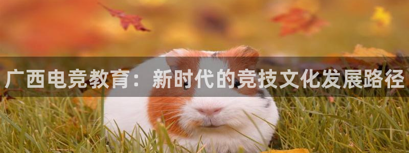 雷火电竞在线登录官网：广西电竞教育：新时代的竞技文化发展路径
