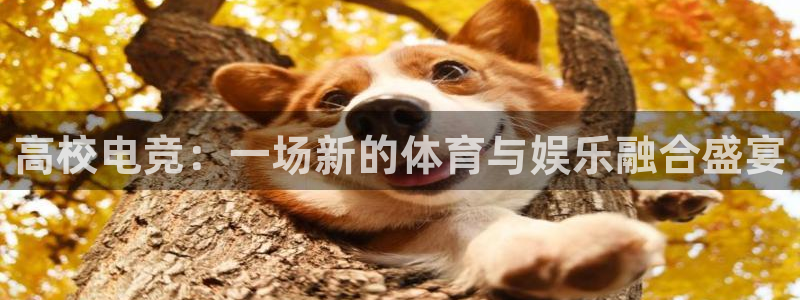 雷火电竞app官方网站：高校电竞：一场新的体育与娱乐融合盛宴