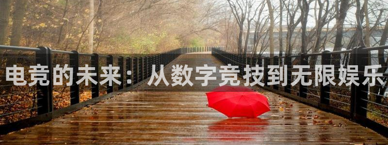 雷火电竞提款多久能到：电竞的未来：从数字竞技到无限娱乐