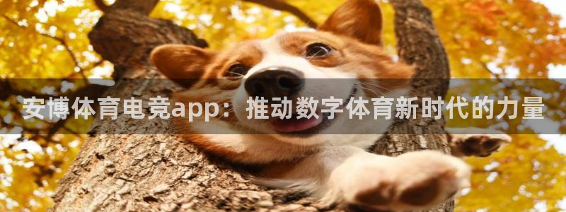 雷火电竞是什么：安博体育电竞app：推动数字体育新时代的力量