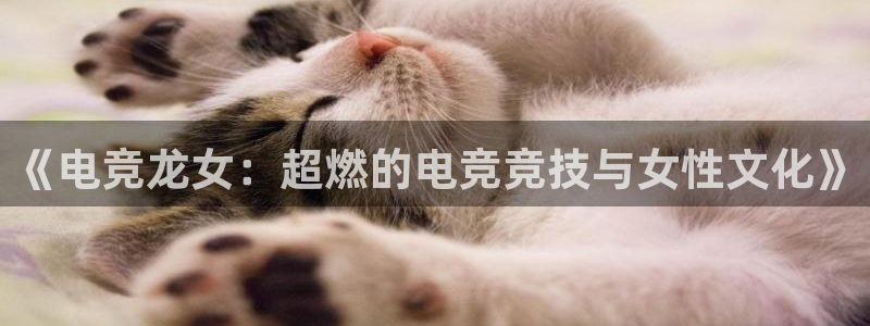 e8125雷火电竞官网：《电竞龙女：超燃的电竞竞技与女性文化》