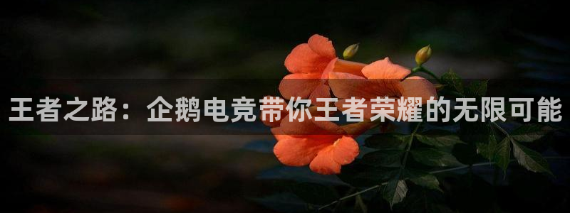 雷火电竞是什么：王者之路：企鹅电竞带你王者荣耀的无限可能