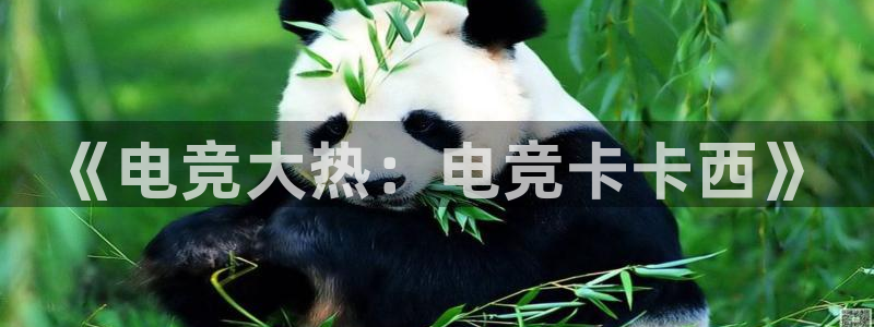 雷火电竞亚洲官网：《电竞大热：电竞卡卡西》