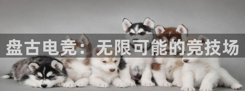 雷火电竞亚洲官网：盘古电竞：无限可能的竞技场