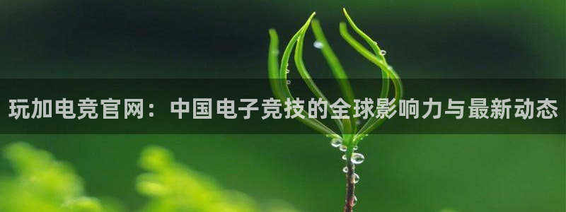雷火电竞合法吗：玩加电竞官网：中国电子竞技的全球影响力与最新动态