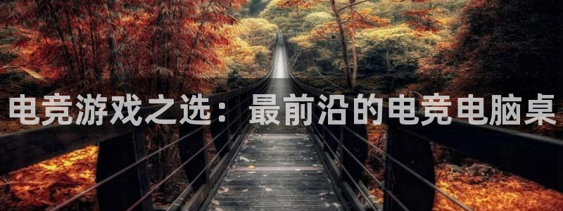 雷火电竞首页：电竞游戏之选：最前沿的电竞电脑桌