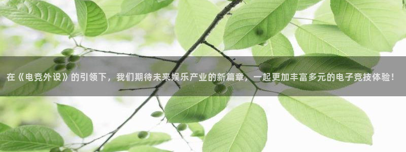雷火电竞平台登录：在《电竞外设》的引领下，我们期待未来娱乐产业的新篇章，一起更加丰富多元的电子竞技体验！