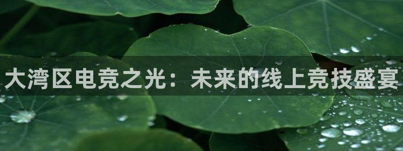 雷火电竞网站：大湾区电竞之光：未来的线上竞技盛宴