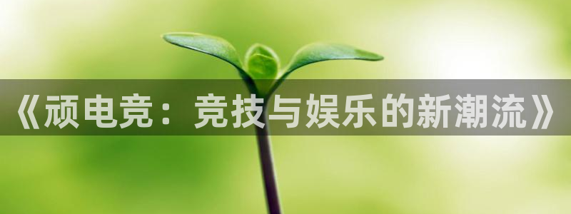 雷火电竞app官方网站：《顽电竞：竞技与娱乐的新潮流》