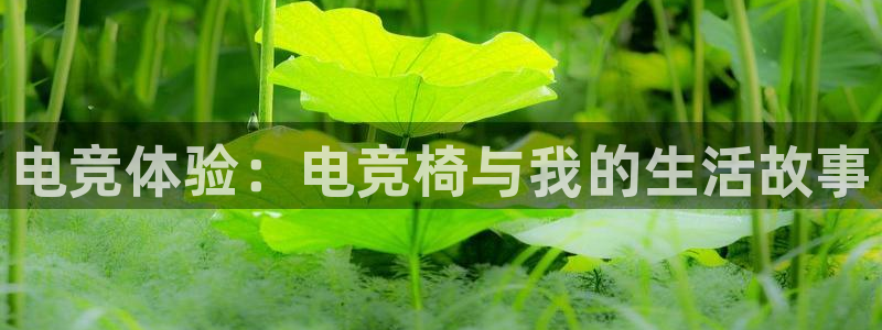 海南雷火电竞：电竞体验：电竞椅与我的生活故事