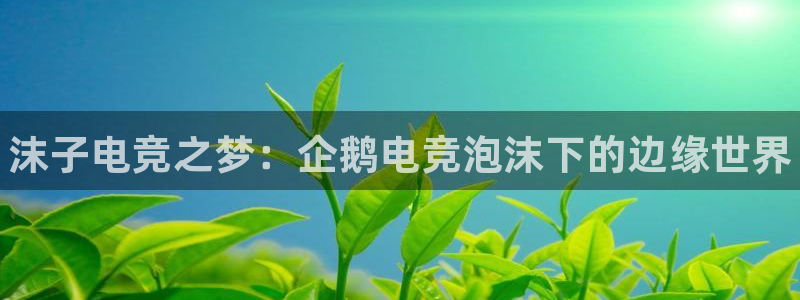 雷火电竞app：沫子电竞之梦：企鹅电竞泡沫下的边缘世界