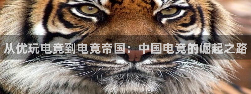 雷火电竞app下载：从优玩电竞到电竞帝国：中国电竞的崛起之路