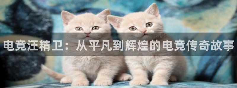 雷火电竞封号：电竞汪精卫：从平凡到辉煌的电竞传奇故事