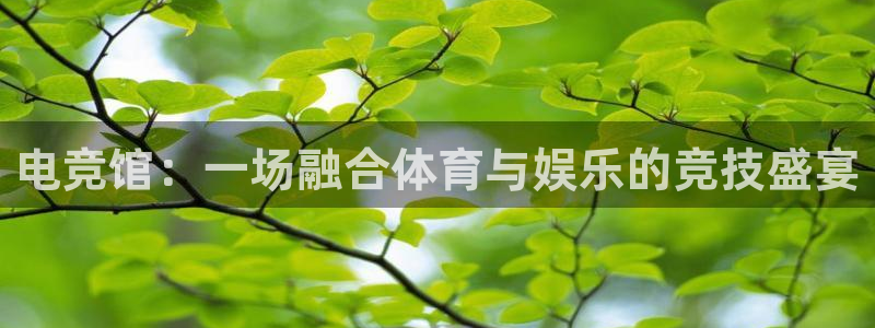 雷火电竞在线登录官网：电竞馆：一场融合体育与娱乐的竞技盛宴