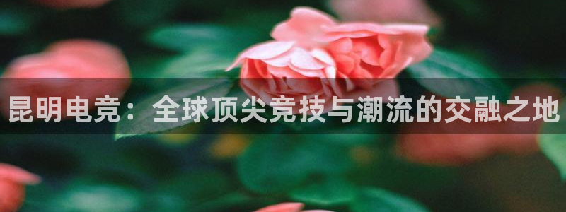雷火电竞竞猜app：昆明电竞：全球顶尖竞技与潮流的交融之地