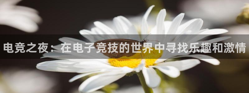 雷火电竞体育官网：电竞之夜：在电子竞技的世界中寻找乐趣和激情