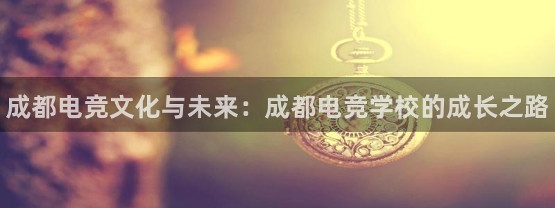 雷火电竞登陆：成都电竞文化与未来：成都电竞学校的成长之路