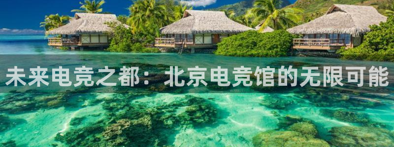 雷火电竞体育：未来电竞之都：北京电竞馆的无限可能