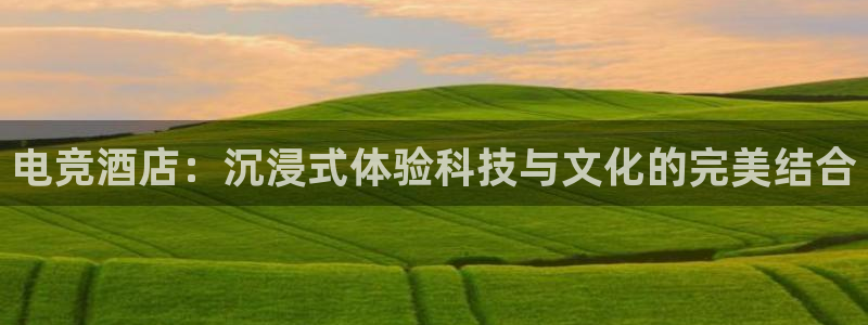 雷火电竞LH官网入口：电竞酒店：沉浸式体验科技与文化的完美结合