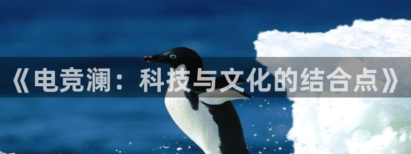 雷火电竞官网入口：《电竞澜：科技与文化的结合点》