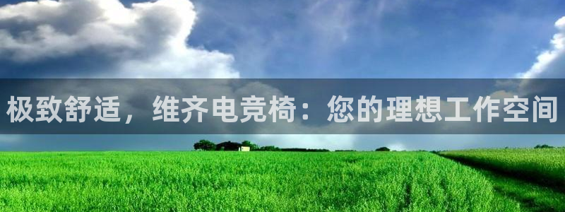 雷火电竞app官方网站：极致舒适，维齐电竞椅：您的理想工作空间